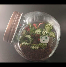 Load image into Gallery viewer, Mini's