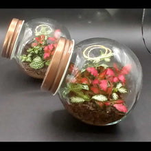 Load image into Gallery viewer, Mini's