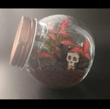 Load image into Gallery viewer, Mini's