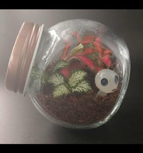 Load image into Gallery viewer, Mini's