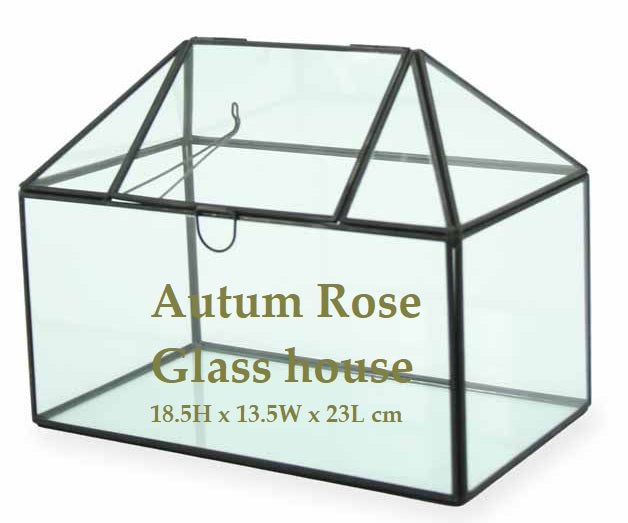 DIY Kit - Pick up only